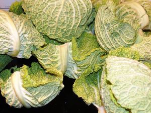 Feuilles de chou farcies