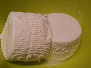 Cannelloni au brocciu