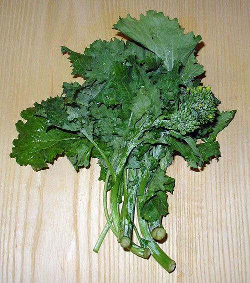 Voici de la cime di rapa avant préparation (1ère photo prise sur Wikipédia)