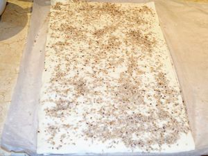 Cassolette de champignons et feuilleté maison