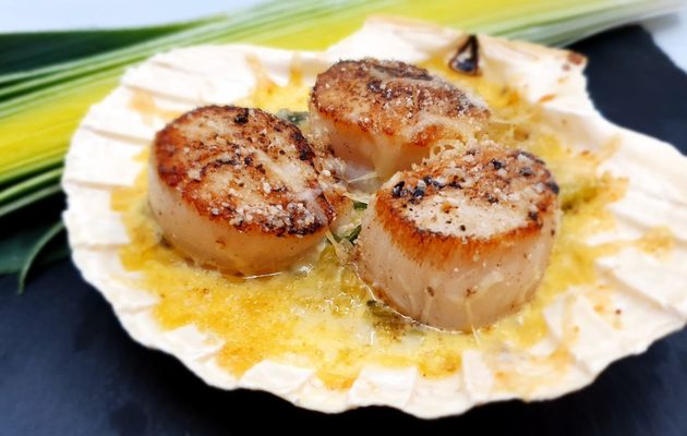 Coquilles St-Jacques gratinées